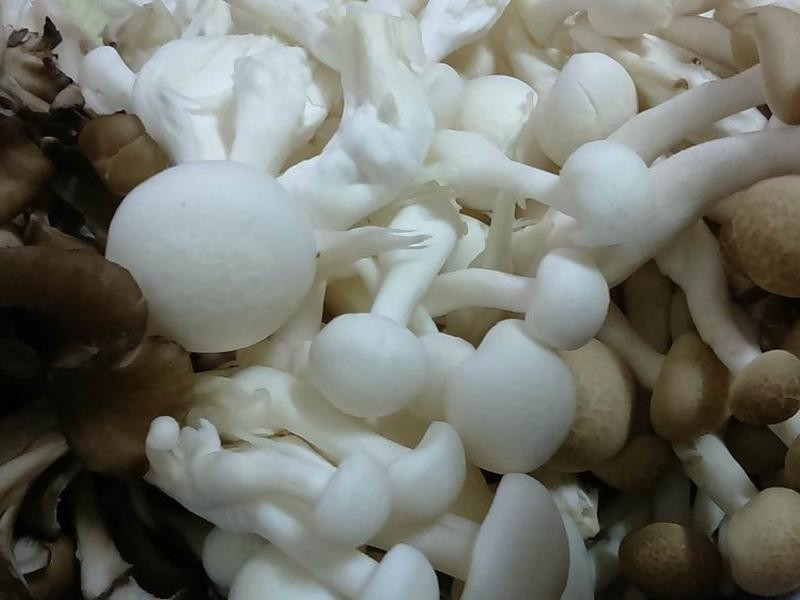 ������ζŨ��������