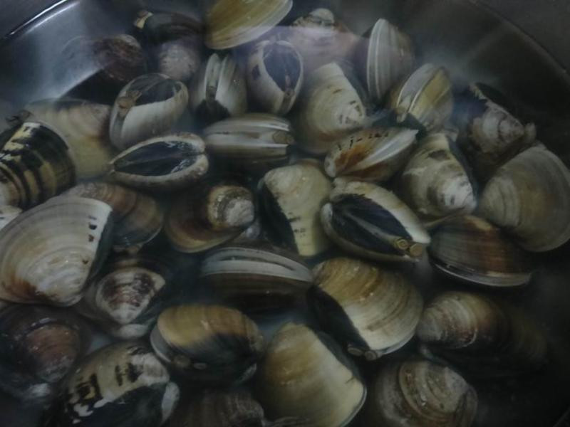 ������ζŨ��������