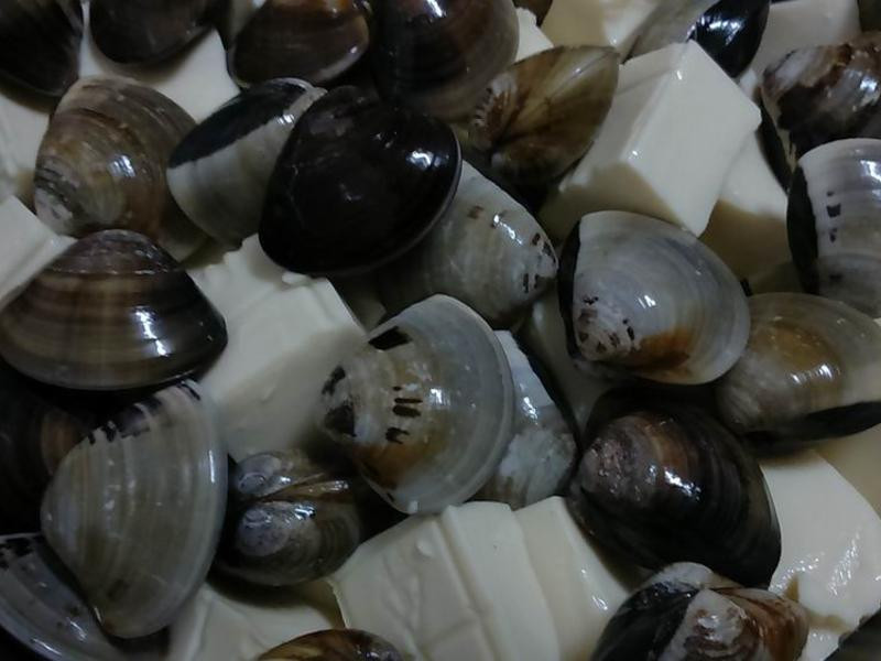 ������ζŨ��������