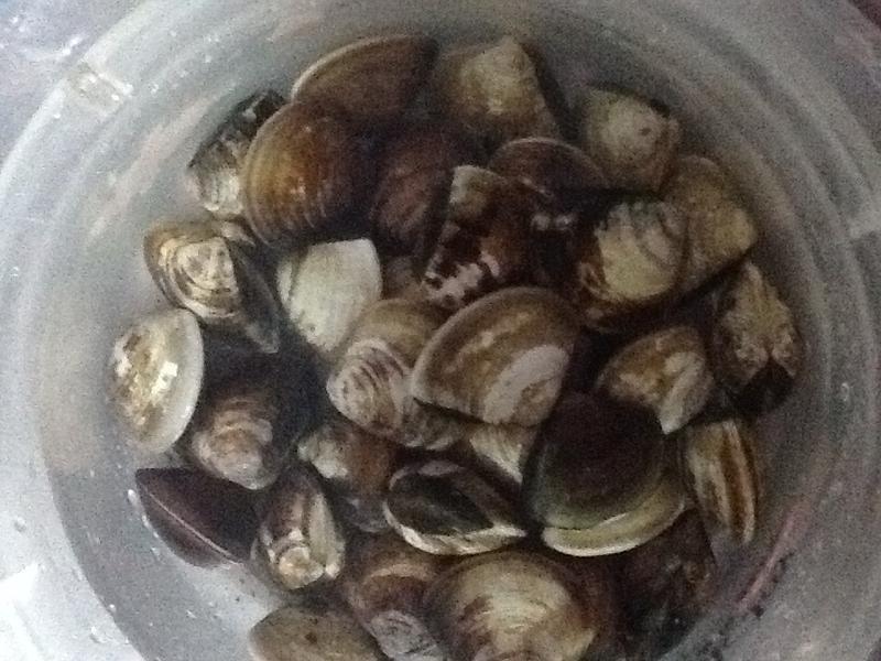 ����ɴ�Ũ��������