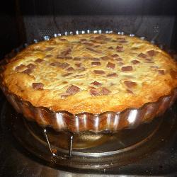 ��㿾����Ģ��������