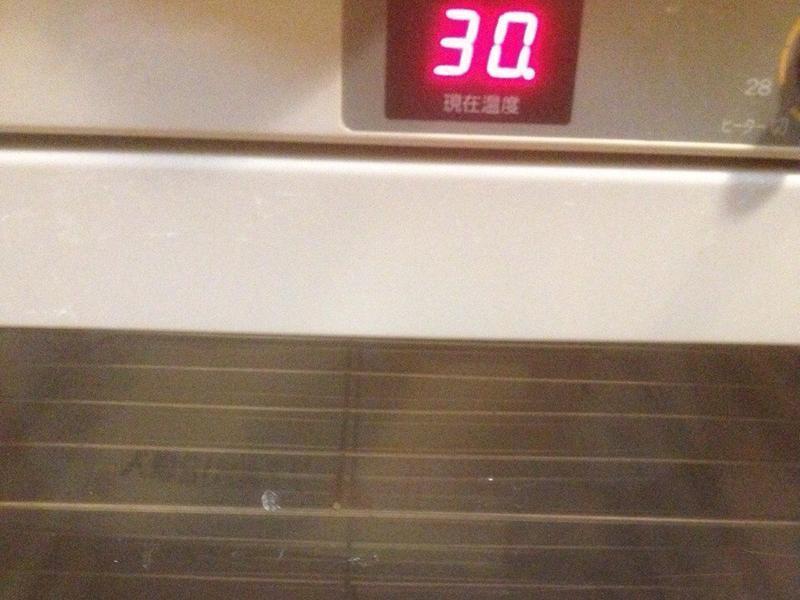 �������������