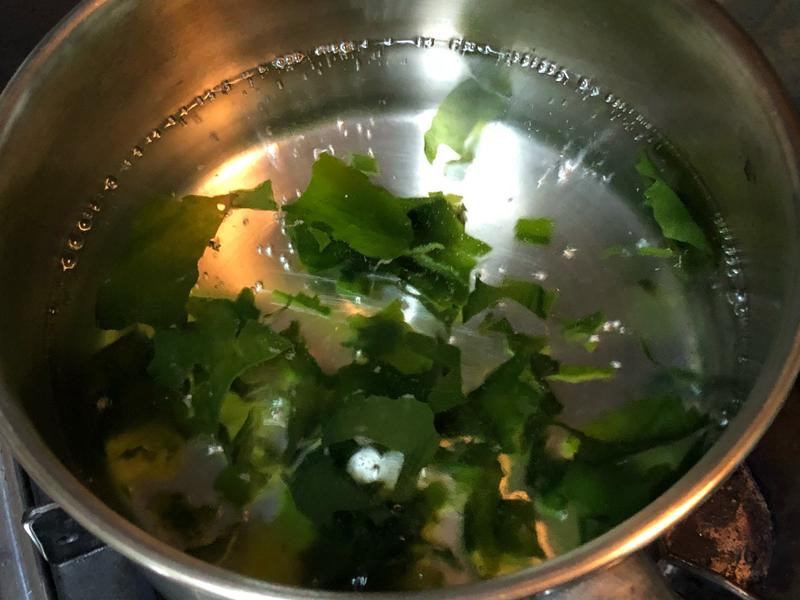 ����ѿʭĿ������������