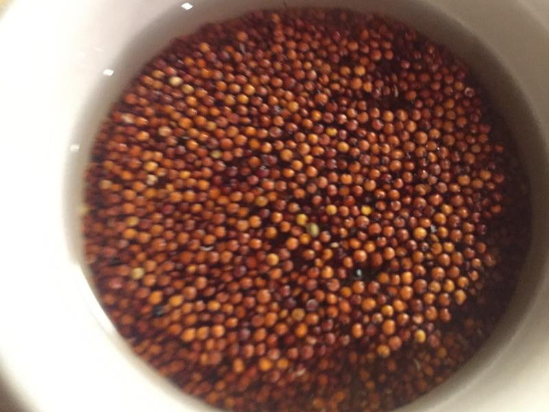 ����˫ɫ����޼������