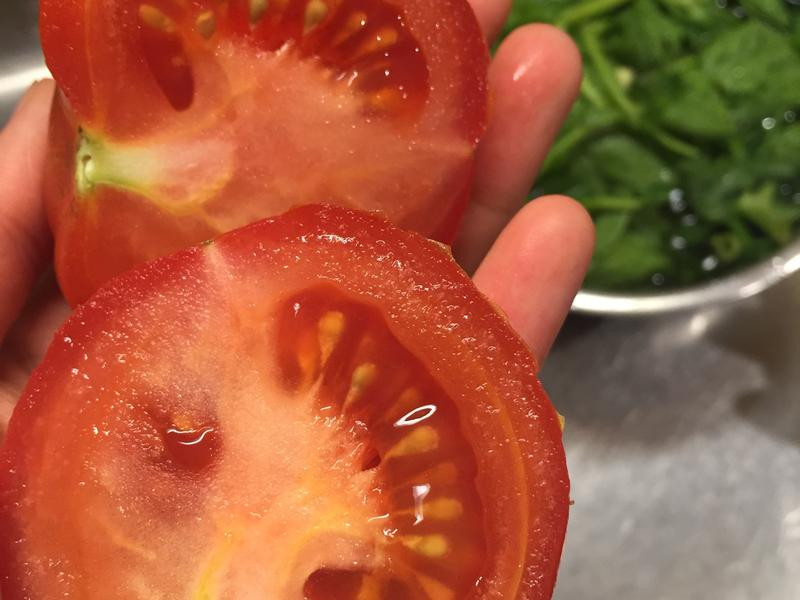 ����˫ɫ����޼������