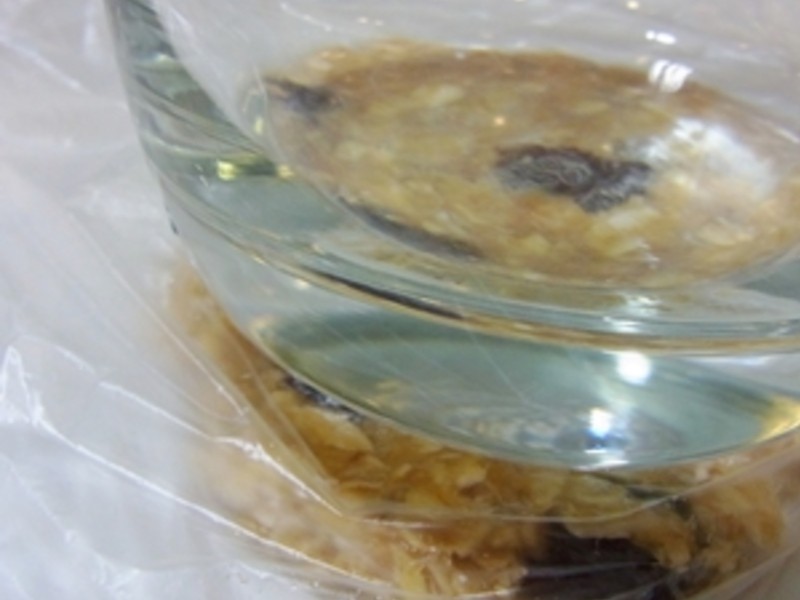 �綯�������������Ѹ�������ɡ�������