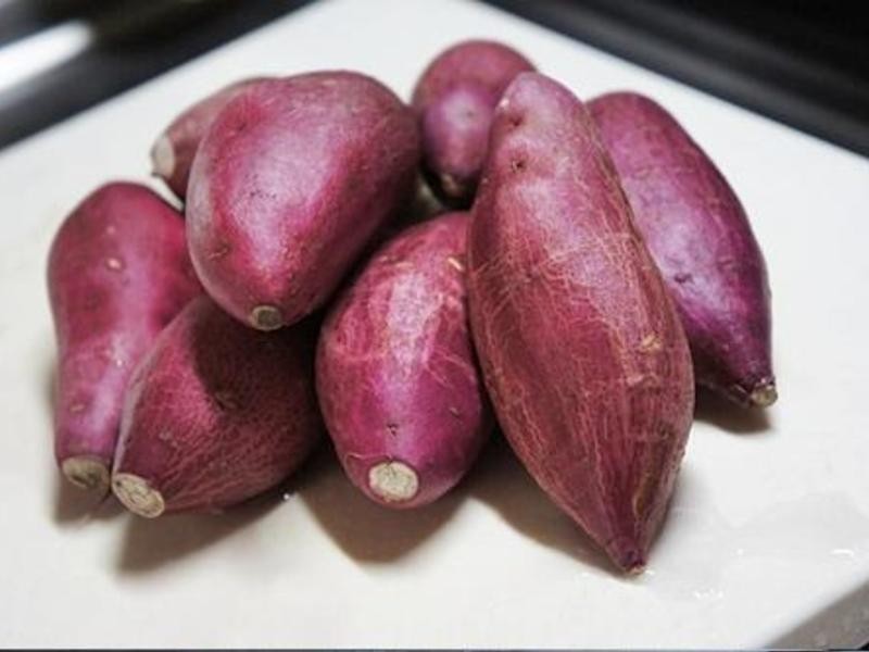 ����ζ�۵عϵ�����