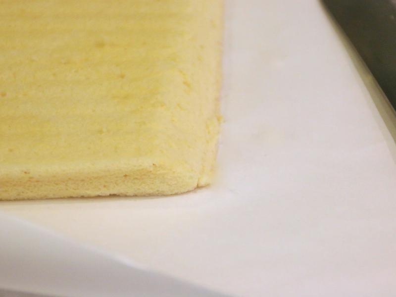 ������ʿ��������