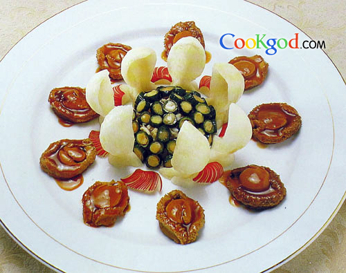 �ɻ��ɻ𱫵�����