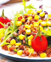 ��԰����ɳ��������