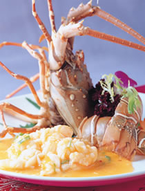 ������Ϻ�������