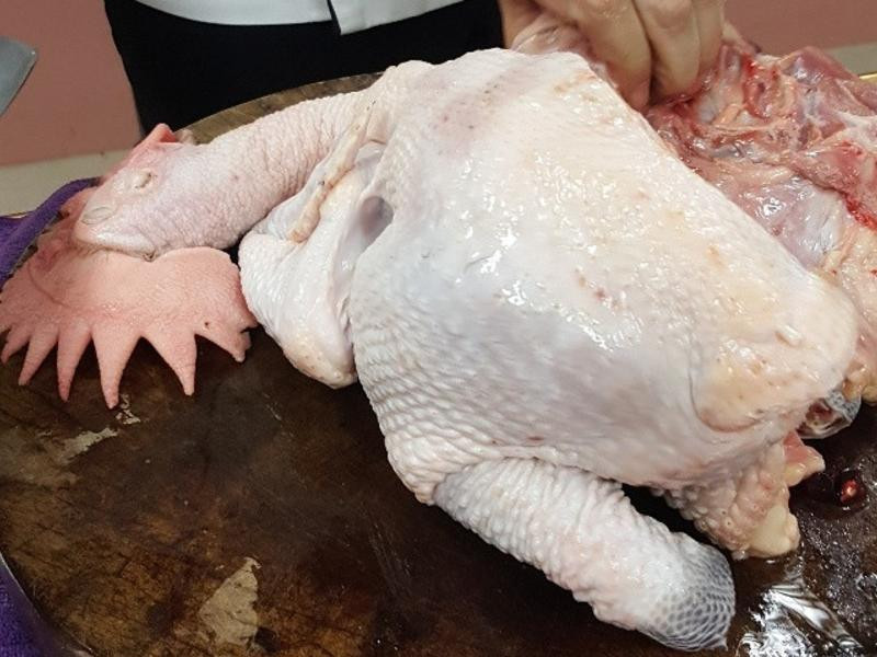 �Ϻ���⽼�������