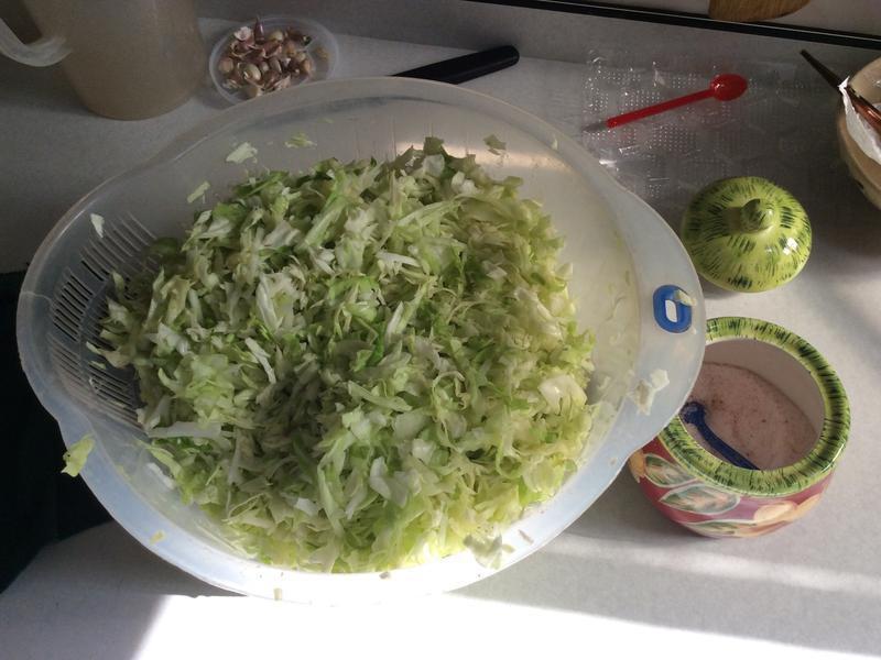 �Ҹ��Ľ��ӡ�Ϻ��������� ��ȵ�����