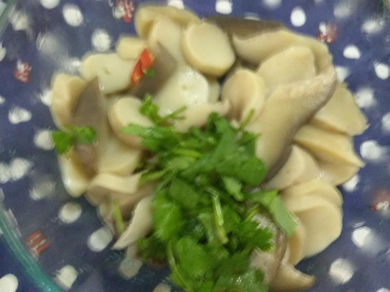 �����ӱ���������