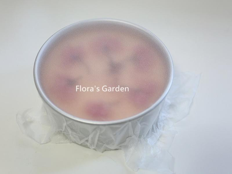 �⿾ӣ����˾���������