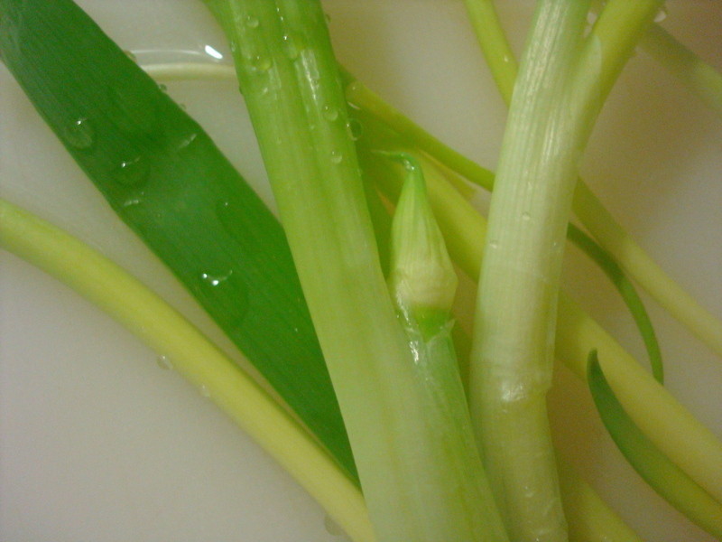 ���ܲ�С�ƹϼ��������