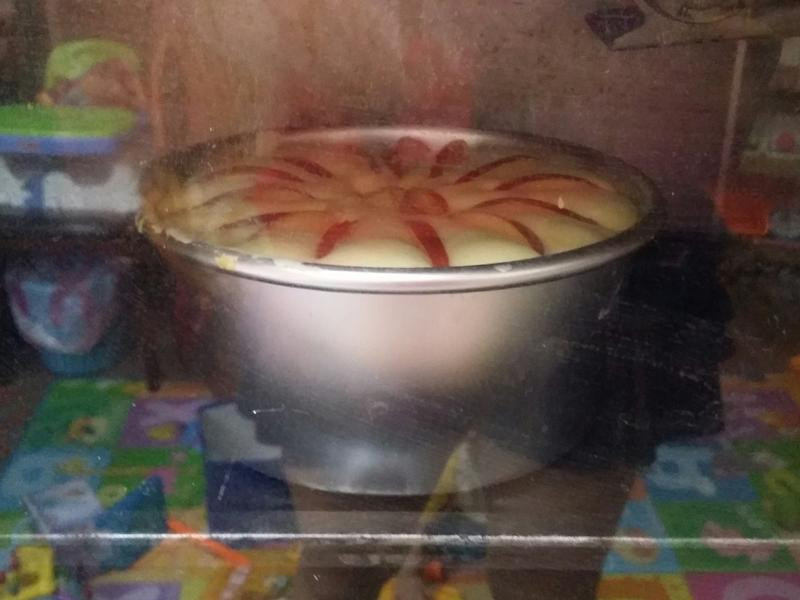 ����ƻ�����ݷ絰�������