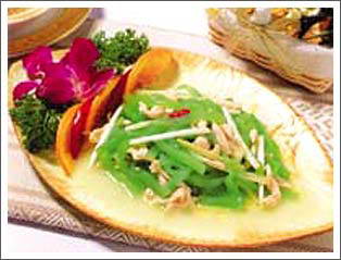 ��˿�����Ƶ�����