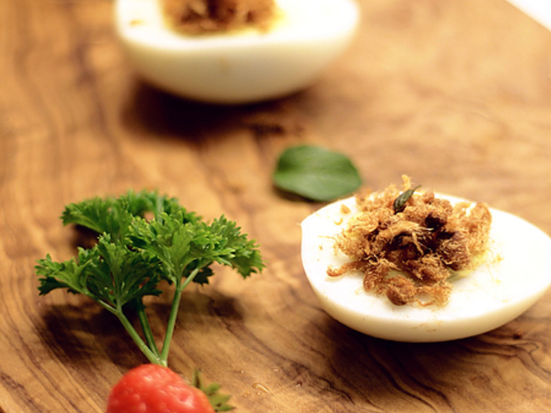 ��������ħ����������