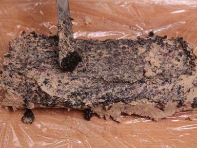 �����ţ��������