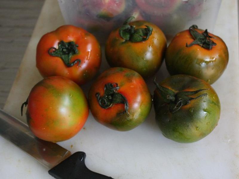 ����ζ�������� մ��[�мӸʲݷ�]������