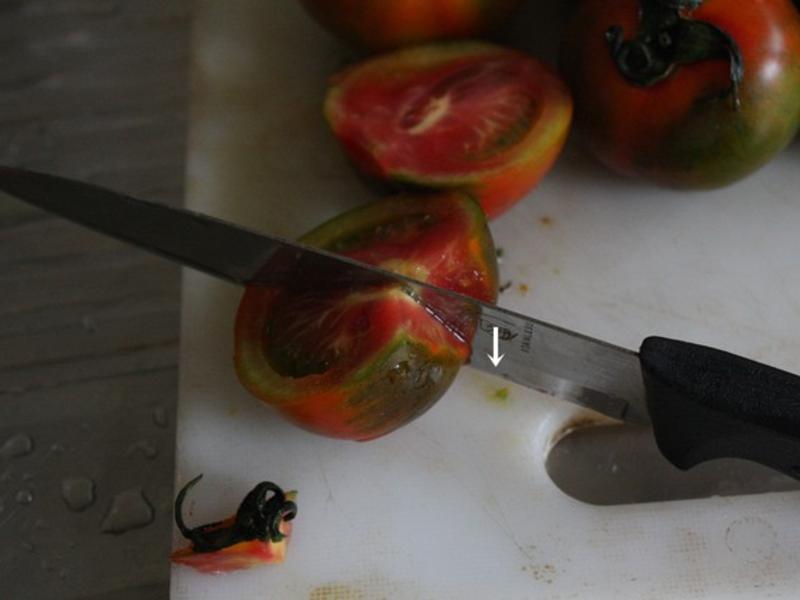 ����ζ�������� մ��[�мӸʲݷ�]������