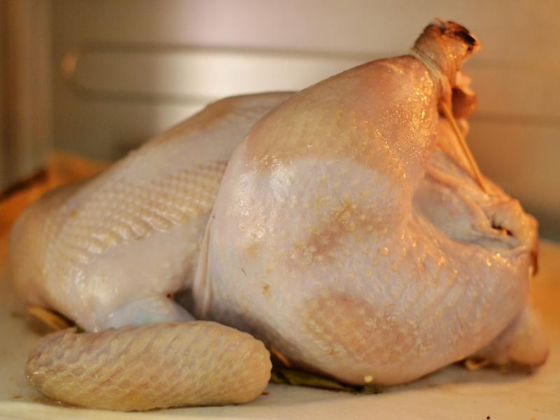 ̩̩���㿾ȫ��������