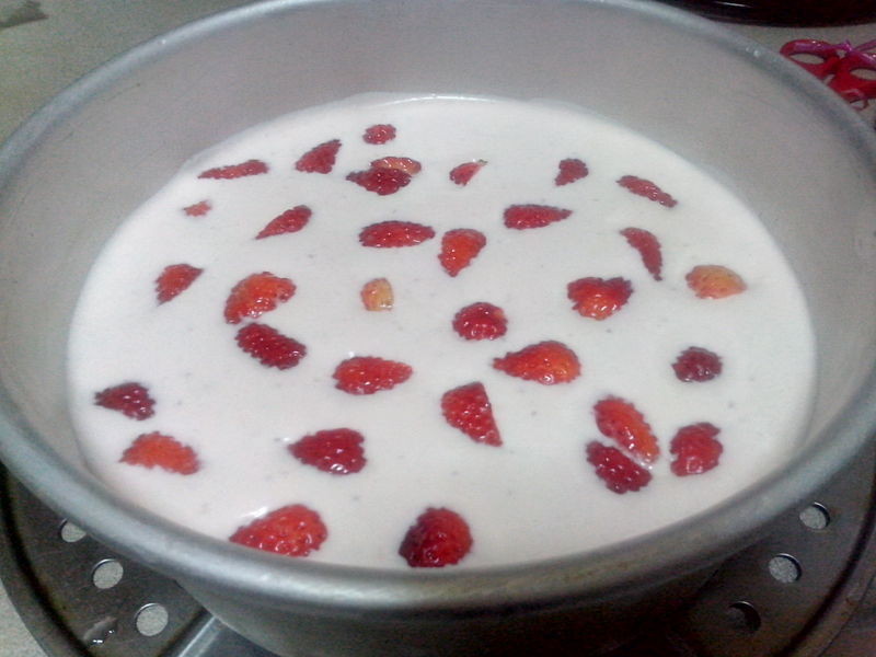 *~��ݮĽ˹~*(���ÿ�)������