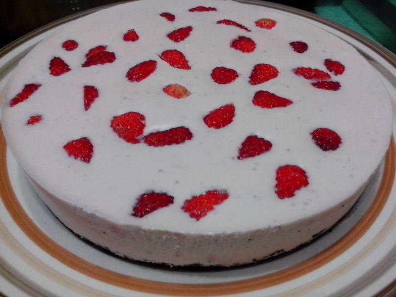 *~��ݮĽ˹~*(���ÿ�)������