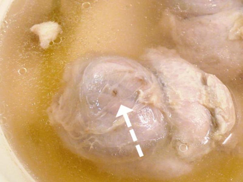 �Ų������������� ?������1������