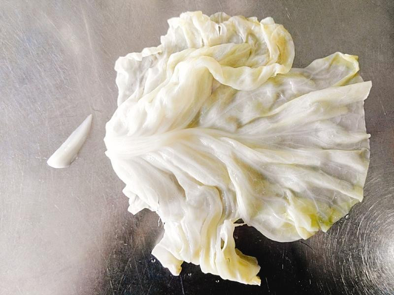 �����������˾�������