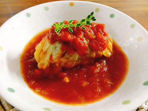 �����������˾�������