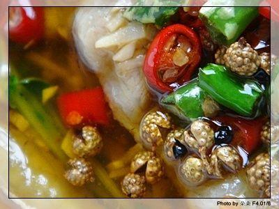 �����ţ������