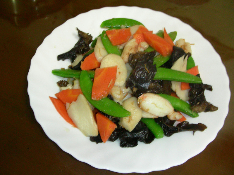 з�ȳ�xo��������