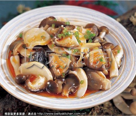 �����Ӿ�������