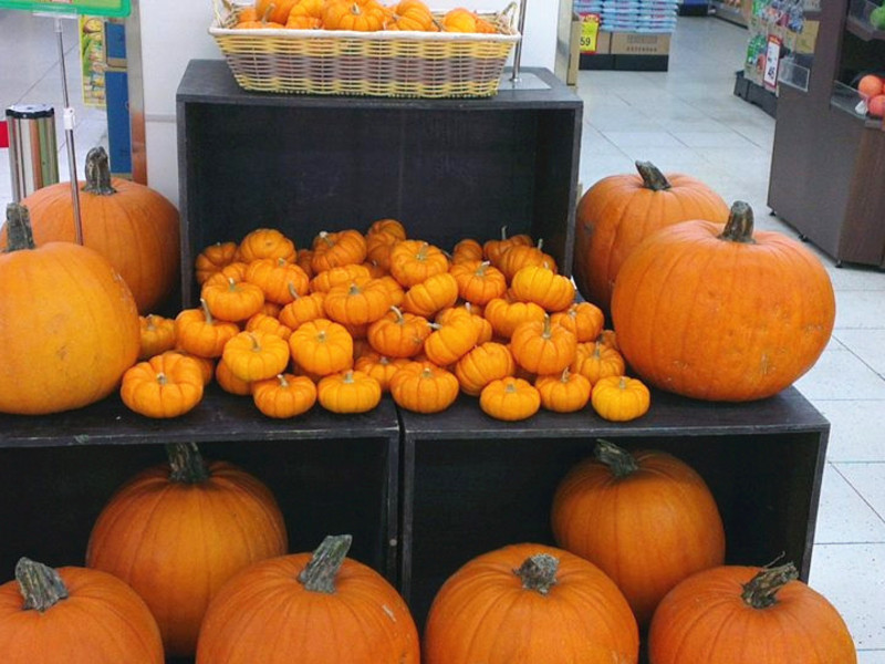 ��˿�Ϲ��Ź��������