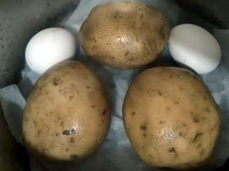 ���㵰���ਕһ֧�������������