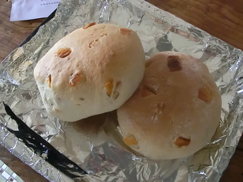 ���â�����������