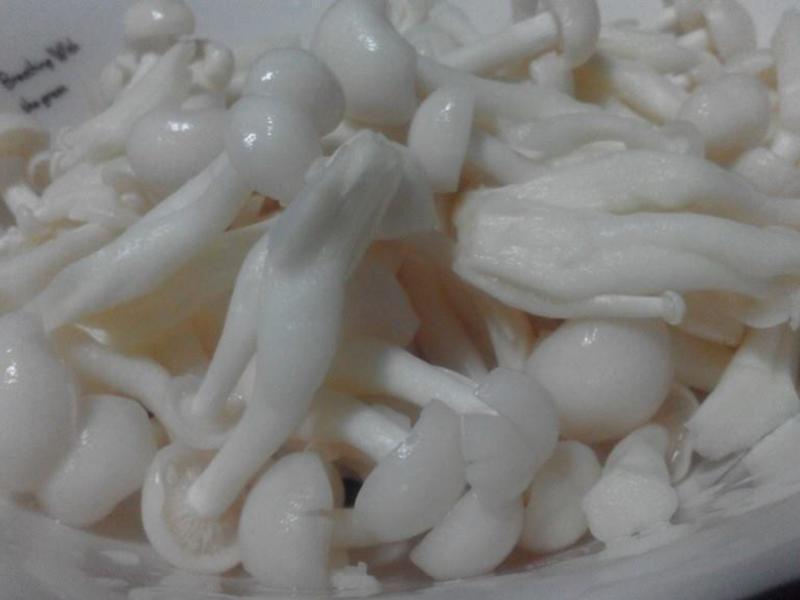 ѩ�׹�ƻ�����𽷵�����