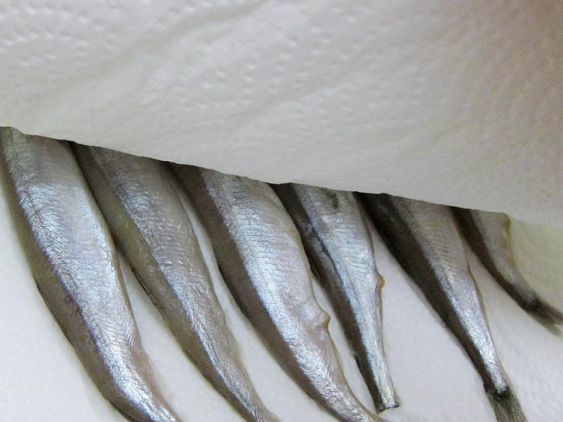 ������ˬ�ؿ�ζ����Ҷ���¶�������