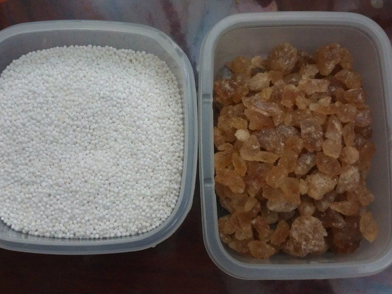 ��ͷҬ������¶������