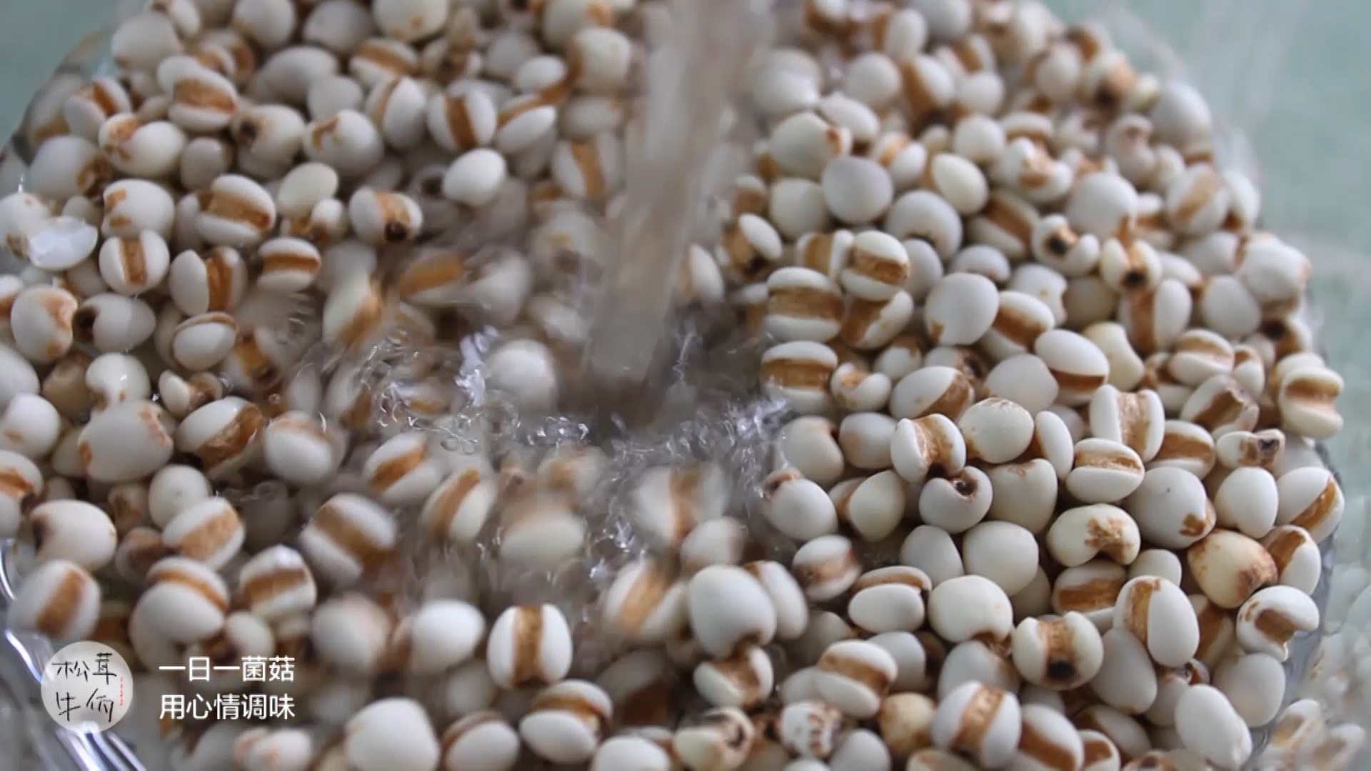 ��������޲��ˮ��ţ������ʳ�׵�����