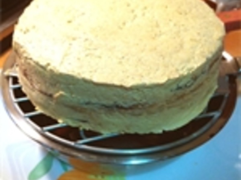 ŷ������ʽ��Ժ����~Opera��������