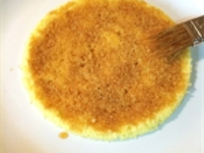 ŷ������ʽ��Ժ����~Opera��������