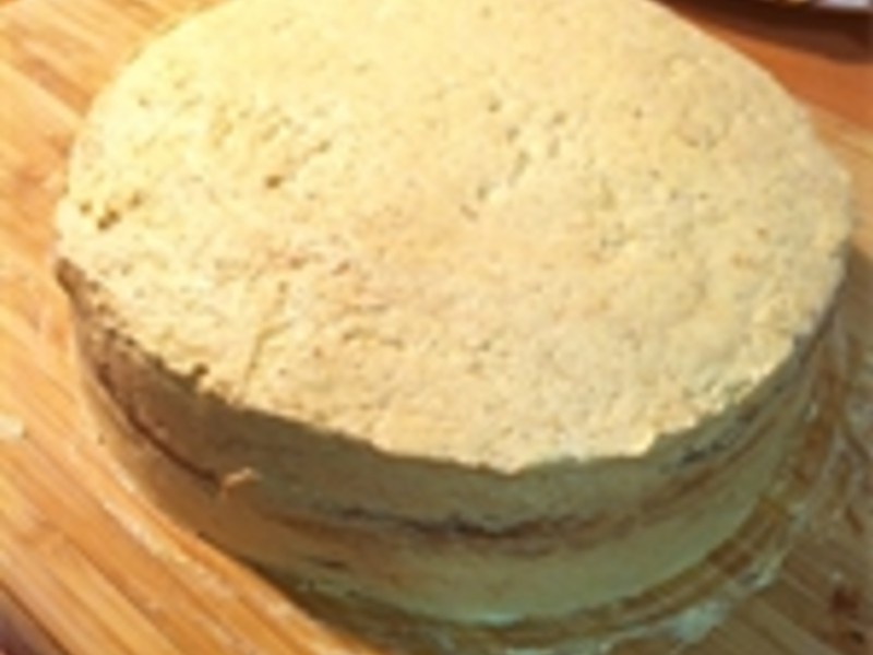 ŷ������ʽ��Ժ����~Opera��������