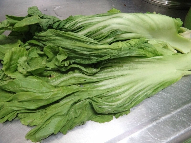 �����ڼ��Z��˵�����