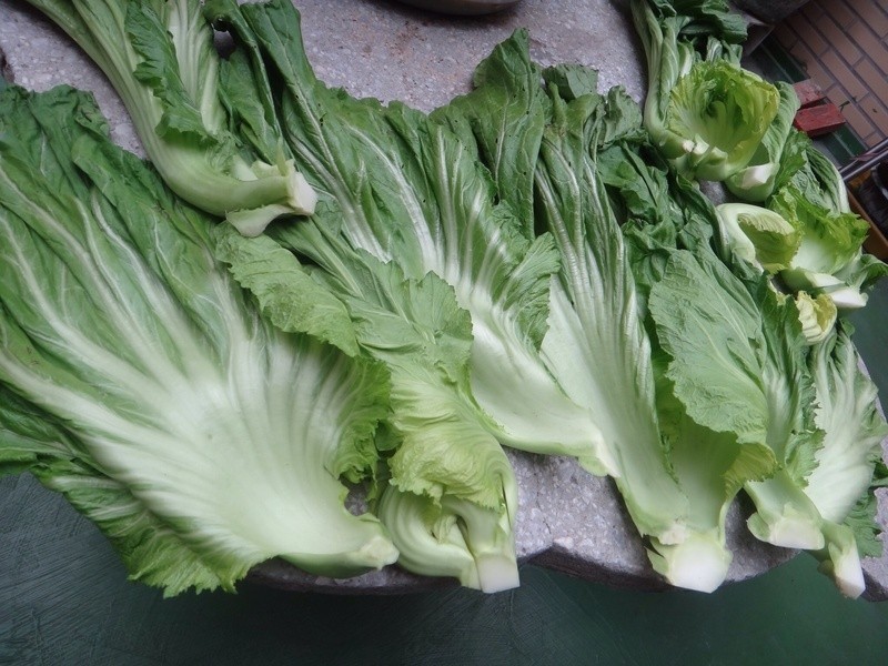 �����ڼ��Z��˵�����