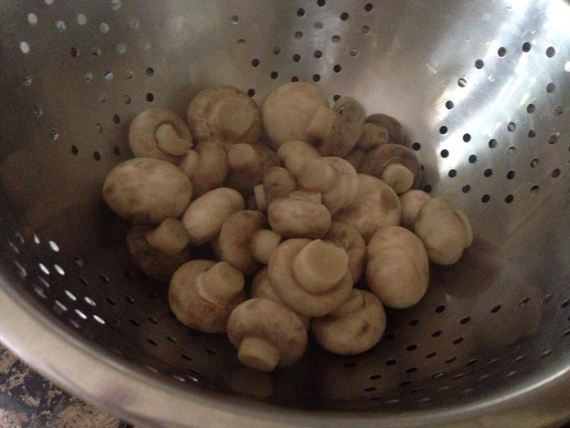 ���������󹽵�����