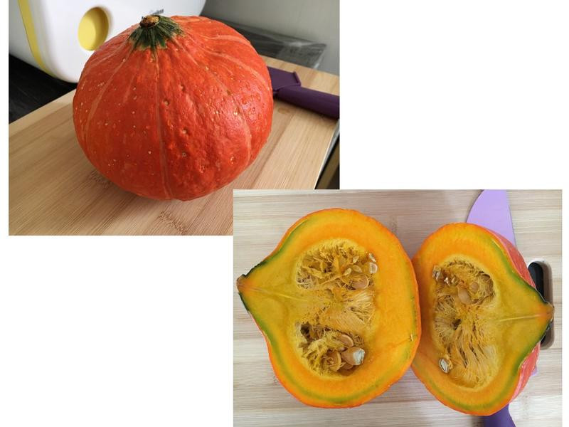 ������ʳ�Ϲ��������