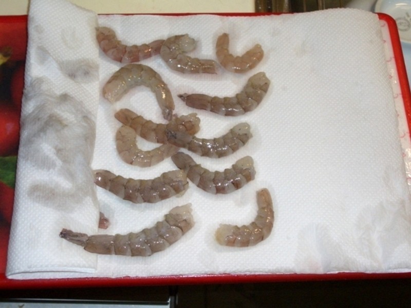 ��Ϻ������(�����)~~������